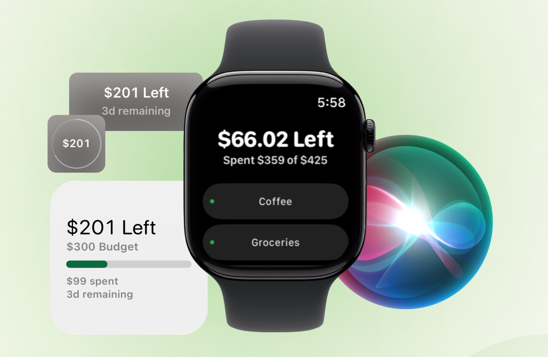 Swift Budget on Apple Watch, Siri, Lock Screen widgets, and Home Screen widgets
